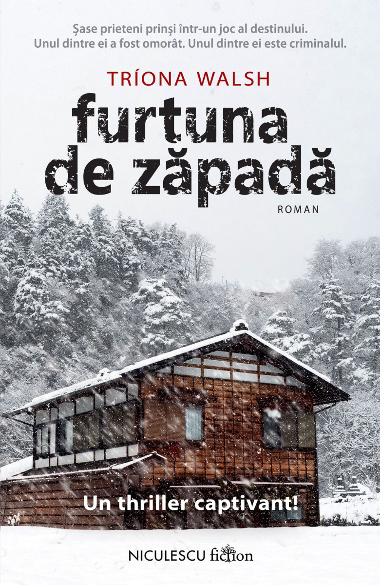 Furtuna de zăpadă